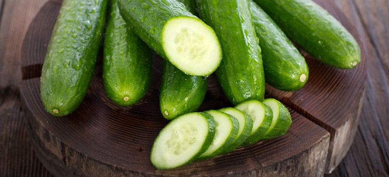 Cucumber