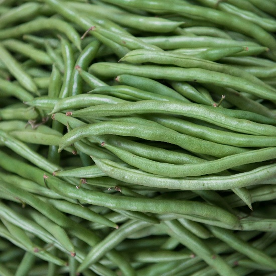 homemade green bean baby food