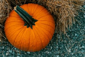 Pumpkin Puree Food: A Flavorful Choice for your baby