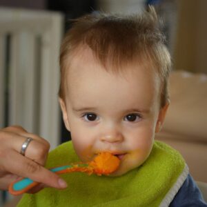 Can babies eat pureed Chicken? From 6 months-2 years Delicious Discovery: A Parent's Guide